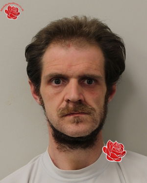 Adam Baillie – profile image
